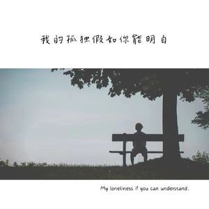 我的孤独假如你能明白 伴奏