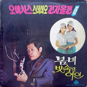 빗속의 여인(경음악)