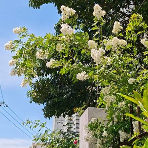 得不到就不要 想不通就睡觉