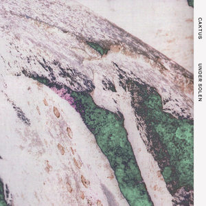 Skumring ved Degnemosen