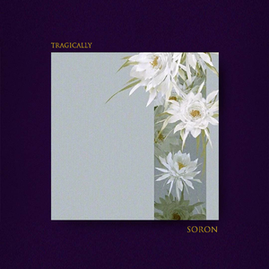 凄凉地【已售断】Jazz hippop Nujabes Chill Beat