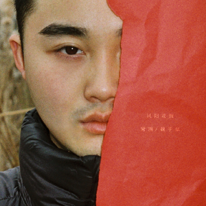 邓丽君-凤阳花鼓