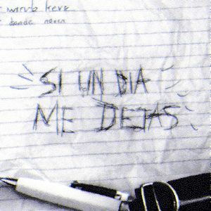Si un Día Me Dejas