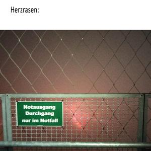 herzrasen