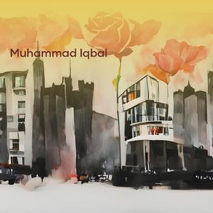 Highland Alpaca Horizon