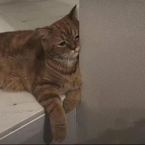 怎么才能融化你这座冰山