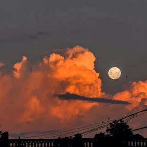 如果思念有声音