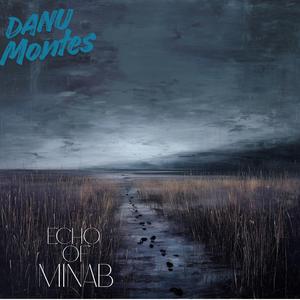 Echo of Minab