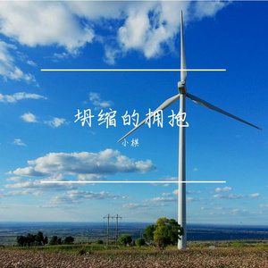 矛盾体
