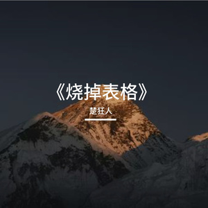 《烧掉表格》