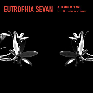 D.S.P. (Dear Sweet Potato)