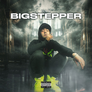 bigstepper