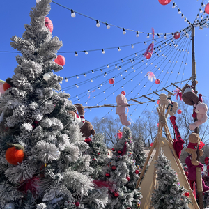 逆风飞行&梦幻治愈