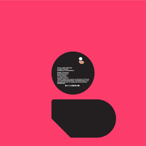 A Light In The Dark (Stoneface & Terminal Extended Remix)