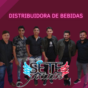 Distribuidora de Bebidas