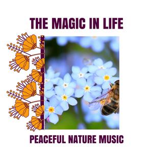 Recovery at Ocean Beach