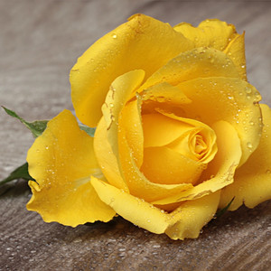 ティコ・ティコ・ノ・フバー　～Instrumental～