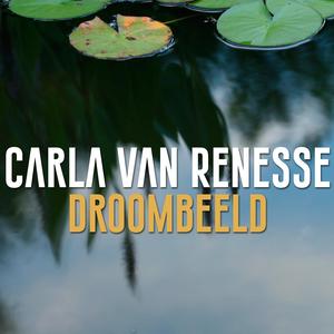 Droombeeld