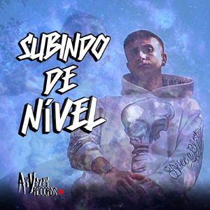 Subindo de Nível