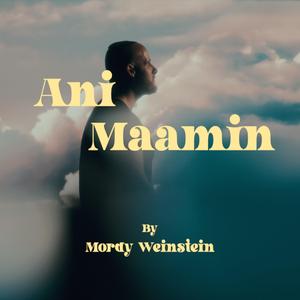 Ani Ma'amin