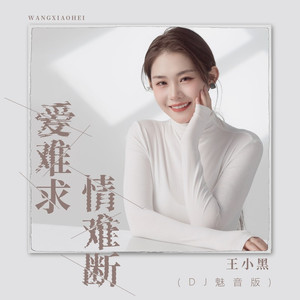 爱难求情难断 (DJ魅音版)