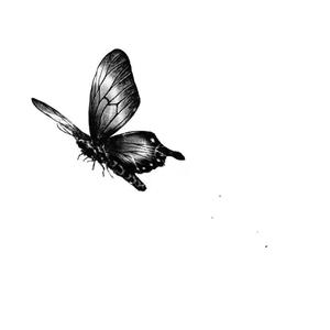 die in your dream（试）