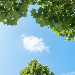 夜空繁星闪烁光