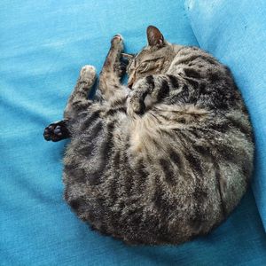 每一场孤独的早春