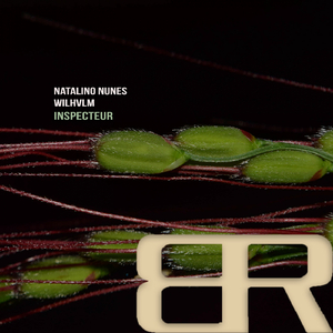 Inspecteur (Original Mix)