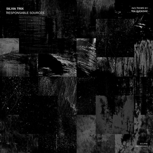 Responsable Sources (Tea Vuckovic Remix)
