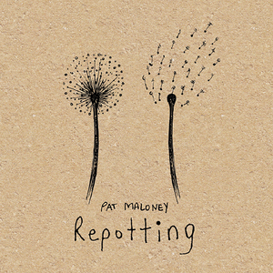 Repotting