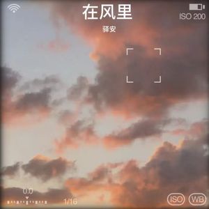 在风里（男生版）