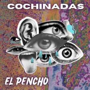 Cochinadas