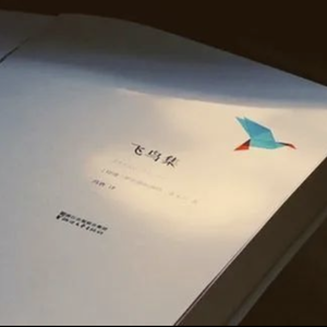 飞鸟集（PROD BY T.W.D）