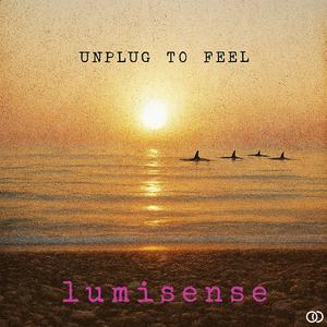 The Echo And The Flame (Unplug To Feel)
