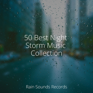 Twilight's Feathered Hush