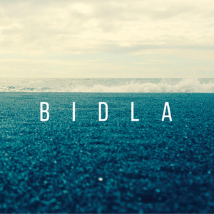 Bidla