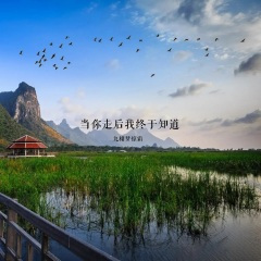 当你走后我终于知道