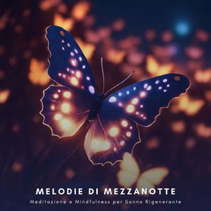 Meditazione