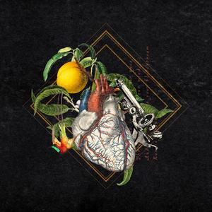 Science of the Heart