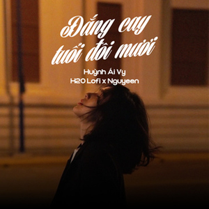 Đắng Cay Tuổi Đôi Mươi (Lofi)