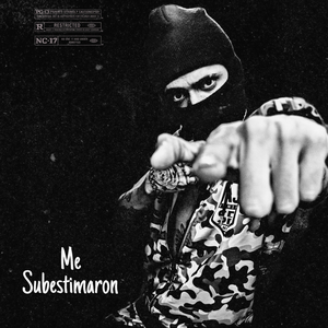 Me Subestimaron