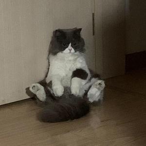 和你