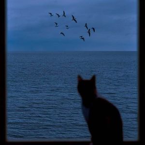 [免费伴奏]“眼睛”Toosii Type Beat