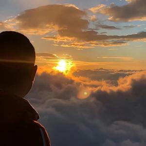 难以启齿的柔弱