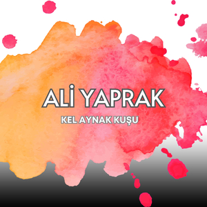 Kel Aynak Kuşu