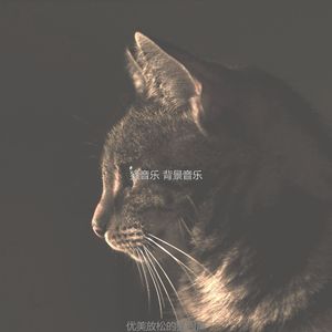 温和小猫梦想