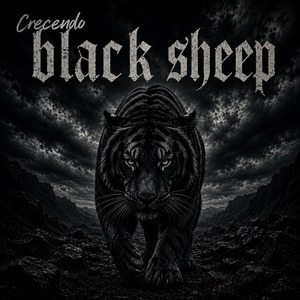 Black Sheep