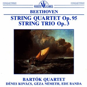 String Quartet No. 11 in F Minor, Op. 95 "Quartetto serioso":III. Allegro assai vivace, ma serioso