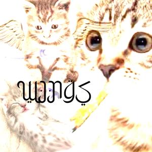 WINGS(demo)